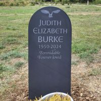 BURKE-in-situ-2