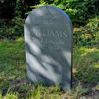 Williams-in-situ-2
